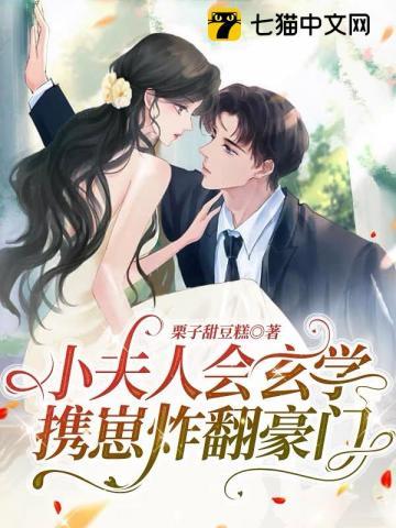 小夫人全文免费阅读