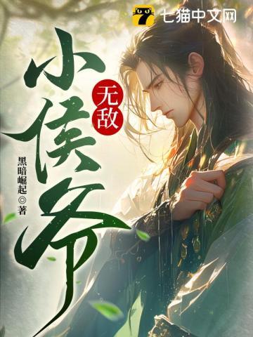 无敌小侯爷txt