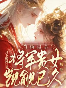 退亲后我让将军入赘