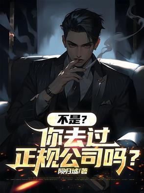 是不是正规公司