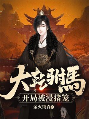 大乾驸马开局被浸猪笼免费