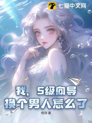 s级向导