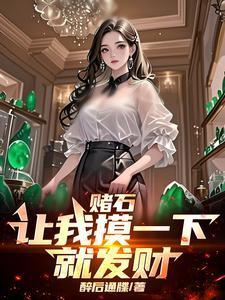我想赌石