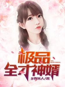 极品全才神婿人物介绍