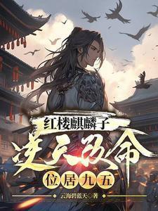 金麒麟 红楼梦