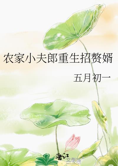 农家小夫郎重生招赘婿百度
