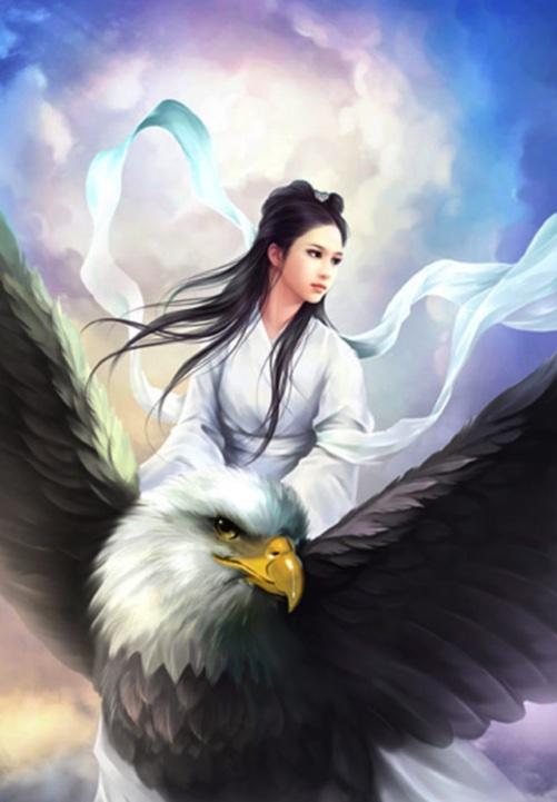 女主叫沈南衣
