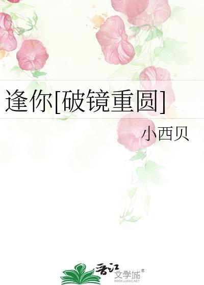 逢你破镜重圆免费阅读全文