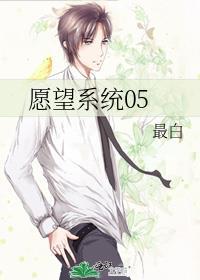 愿望系统05晋江