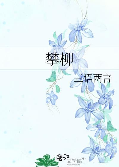 攀柳晋江