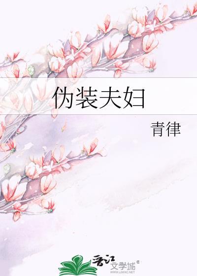 伪装夫妇 电视剧