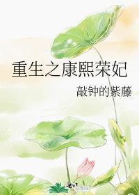 重生之康熙荣妃完结txt