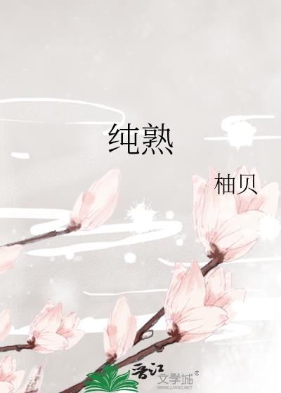 纯熟的意思