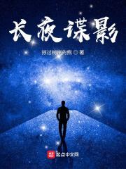 长夜谍影免费阅读