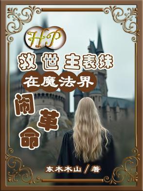 hp救世主bg