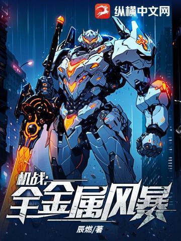 机战全金属风暴百科