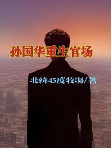 主角孙国华全集阅读