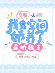 穿越我靠空间娇养了病娇魏王最