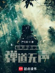 特种岁月顶点