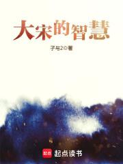 大宋的智慧云峥