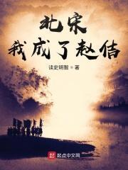 北宋我成了赵佶 读史明智