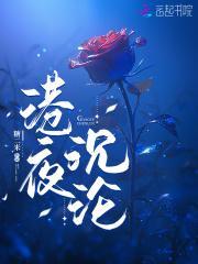 沉沦之夜免费
