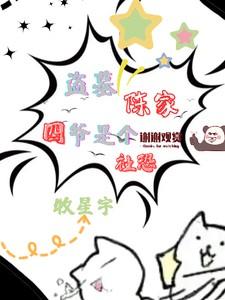 盗墓陈家人