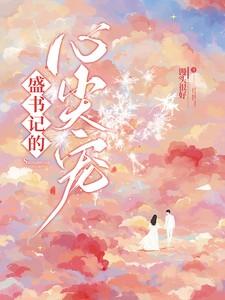 盛少的心尖宠