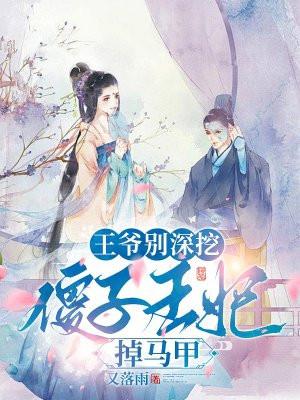 王爷 傻王妃又跑了