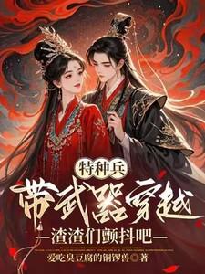 特种兵带现代武器穿越秦朝电视剧