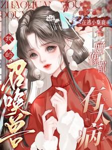 我的召唤兽必须实用