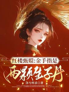 甄嬛传之金手指
