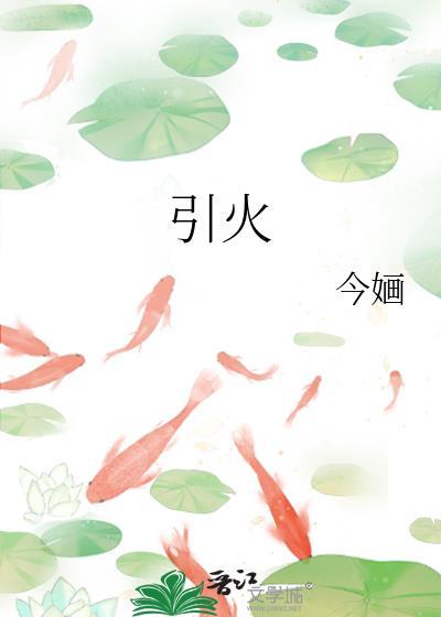 引火免费阅读