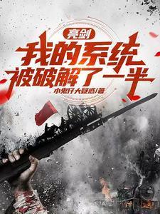 亮剑 系统