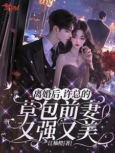 离婚后前夫总是追我许州远