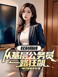 权力巅峰免费阅官途读全文